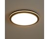 Потолочный светильник Freya Rua FR6160CL-L40B
