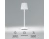 Уличный светильник Elektrostandard Mist 4690389198441 TL70220 a063928