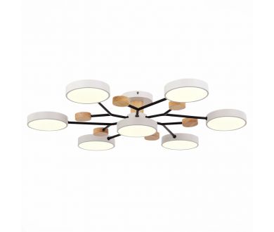 Люстра на штанге Evoluce Faema SLE6006-502-07