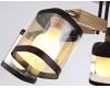 Потолочная люстра Ambrella Light Traditional TR9529