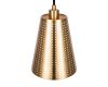 Подвесной светильник Freya Terra FR5260PL-01BS