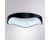 Потолочный светильник Arte Lamp Ankaa A3085PL-48BK