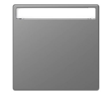Клавиша одинарная Schneider Electric Merten D-Life MTN3360-6036