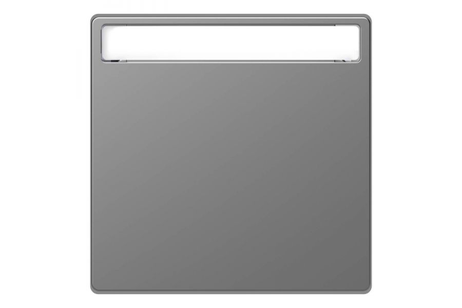 Клавиша одинарная Schneider Electric Merten D-Life MTN3360-6036