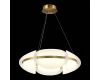 Подвесная люстра ST Luce Etoile SL1304.203.45