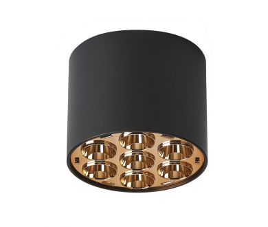 Потолочный светильник Lightstar Guarda 080642