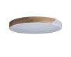 Потолочный светильник Loft IT AXEL 10004/36 White