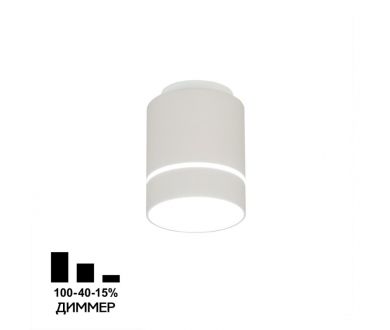 Накладной светильник Citilux Борн CL745020N