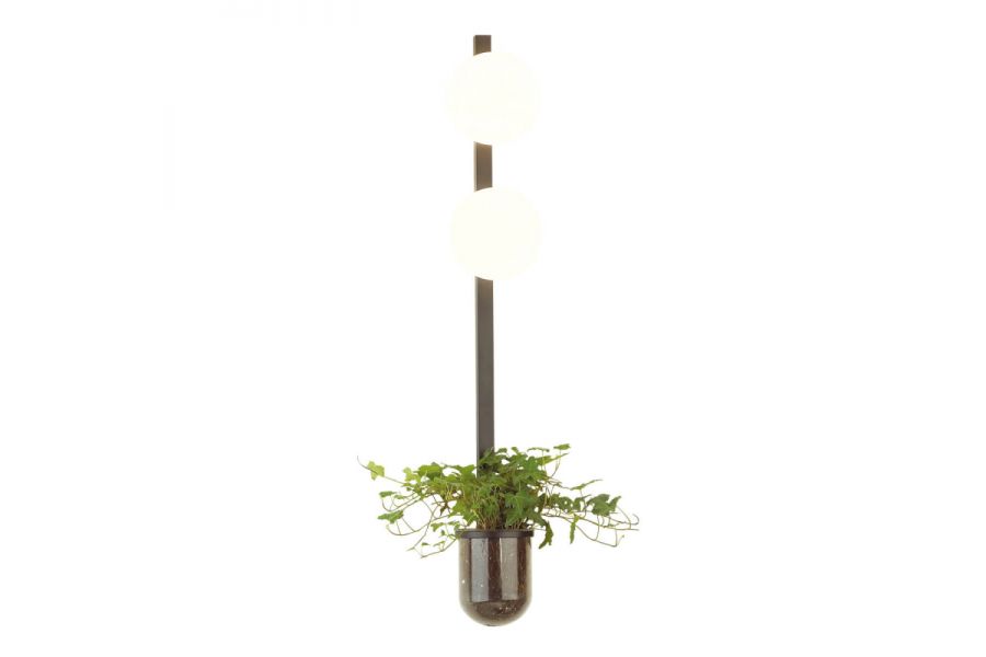 Настенный светильник Odeon Light Flower 4681/2WA