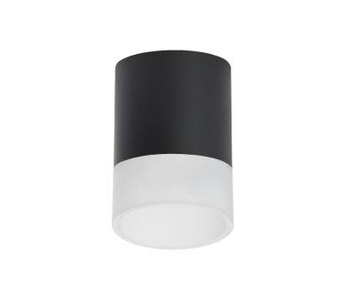 Накладной светильник Lightstar Rullo (213487+202481) R348781