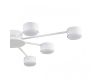Потолочная люстра Lumion Comfi Torina 8343/8C