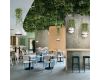 Настенный светильник Loft IT Jardin 10121W/B Dark grey