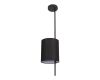 Потолочный светильник Loft IT Ritz 10253P Black