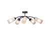 Потолочная люстра Vitaluce V2850-1/5PL