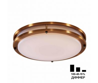 Настенно-потолочный светильник Citilux Бостон CL709503N