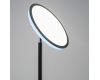 Торшер Citilux Click CL810021