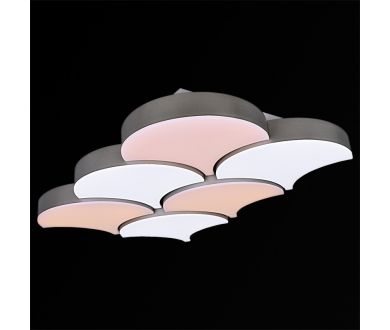 Потолочная люстра Reluce 01218-0.3-06LED