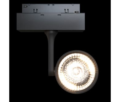 Трековый светильник Maytoni Oko TR024-2-10B3K