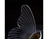 Подвесной светильник Arte Lamp Darcy A2187SP-2GO