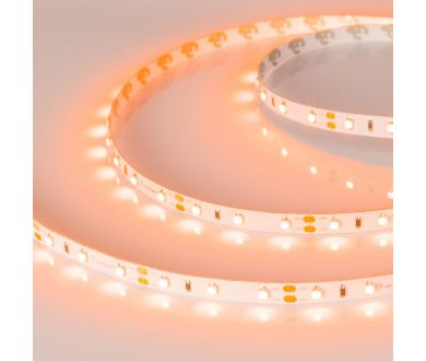 Светодиодная лента Arlight RT-A60-8mm 12V Orange (4.8 W/m, IP20, 2835, 5m) 013568(2)