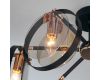 Потолочный светильник Eurosvet Gallo 70121/6 черный Smart a052341