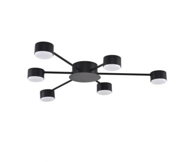 Потолочная люстра Lumion Comfi Torina 8344/6C
