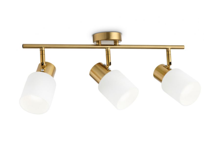 Спот Ambrella Light Traditional TR3972