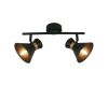 Спот Arte Lamp Baltimore A1406AP-2BK