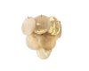 Настенный светильник Loft IT Lolly 10492W Champagne