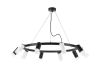 Подвесная люстра Lightstar Rullo (571020+214437-5+214436-5+202431-10) LR0203753651
