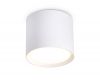 Накладной светильник Ambrella Light GX Standard Tech TN5350