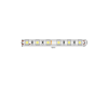 Светодиодная лента SWG Standard 24В 5050 14,4Вт/м 6000-6500K 5м IP65 SWG560-24-14.4-W-68-M 021280