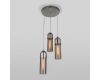 Подвесная люстра Eurosvet Airon 50180/3 дымчатый