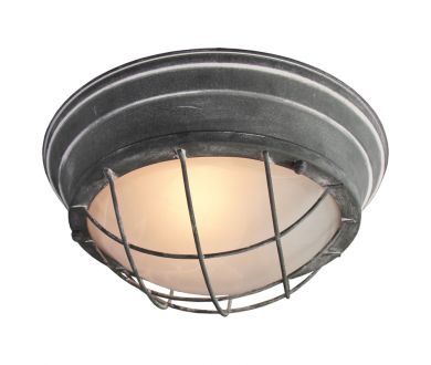 Потолочный светильник Lussole Loft GRLSP-9881