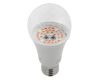 Фитолампа для растений светодиодная ЭРА E27 12W 1310K FITO-12W-RB-E27-K Б0039070