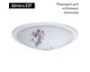 Настенно-потолочный светильник Eglo Planet 4 32124