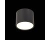 Потолочный светильник ST Luce Rene ST113.442.09