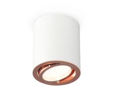 Потолочный светильник Ambrella Light Techno Spot XS7421004 (C7421, N7005)