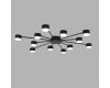 Потолочная люстра Lumion Comfi Torina 8344/12C