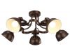 Потолочная люстра Arte Lamp Martin A5216PL-5BR