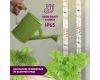 Светодиодная лента для растений Эра 18Вт 1400K 2м IP65 FITO-Strip Light-RB-2m красно-синего спектра Б0057282