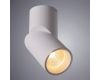 Накладной светильник ARTE Lamp A7717PL-1WH