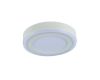 Потолочный светодиодный светильник Arte Lamp Antares A7806PL-2WH