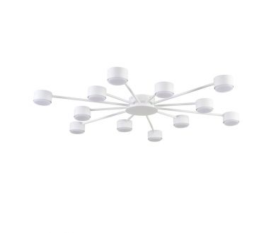 Потолочная люстра Lumion Comfi Torina 8343/12C