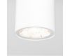 Уличный потолочный светильник Elektrostandard Light LED 4690389176555
