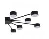 Потолочная люстра Lumion Comfi Torina 8344/12C