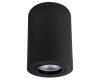 Накладной светильник Arte Lamp Sentry A1566PL-1BK