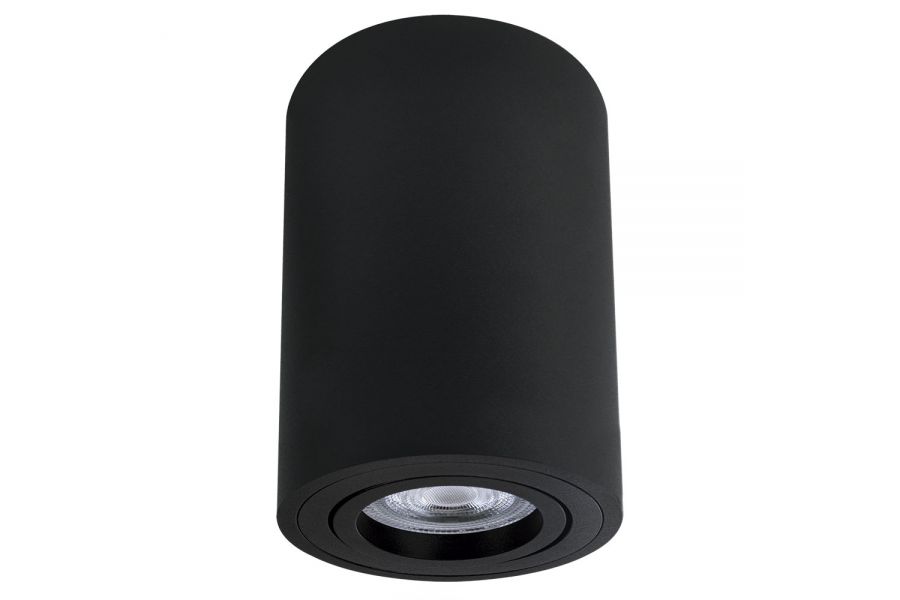 Накладной светильник Arte Lamp Sentry A1566PL-1BK
