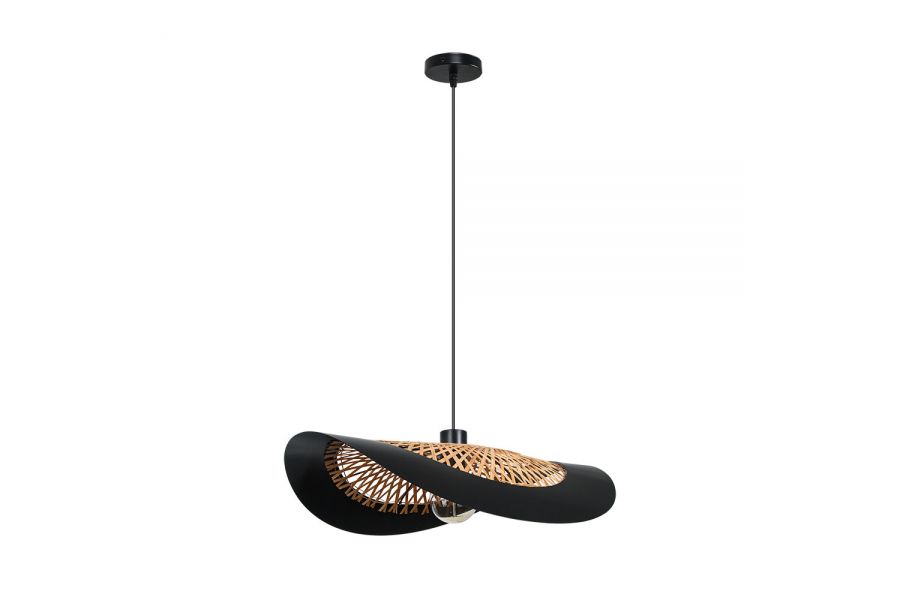 Подвесной светильник Arte Lamp Woodstock A7059SP-1BK