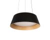 Подвесной светильник Loft IT Evans 10224P Black